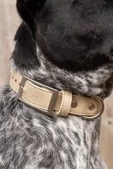 Champagne Fizz Vegan Leather Collar