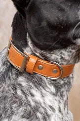 Sierra Sunrise Vegan Leather Collar